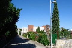 01-Viale-di-accesso-scaled